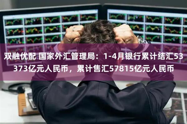 双融优配 国家外汇管理局：1-4月银行累计结汇53373亿元人民币，累计售汇57815亿元人民币