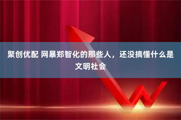 聚创优配 网暴郑智化的那些人，还没搞懂什么是文明社会