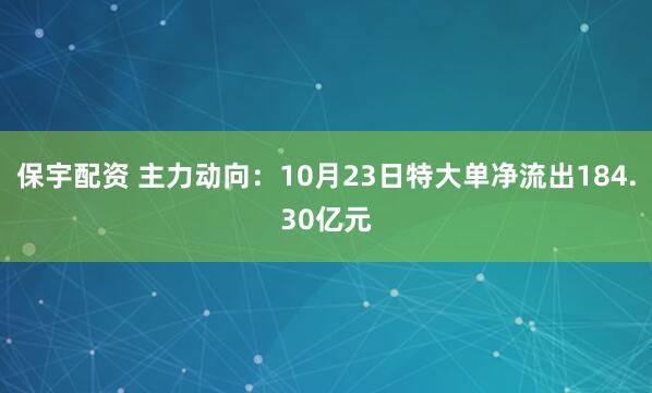 保宇配资 主力动向：10月23日特大单净流出184.30亿元