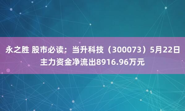 永之胜 股市必读：当升科技（300073）5月22日主力资金净流出8916.96万元